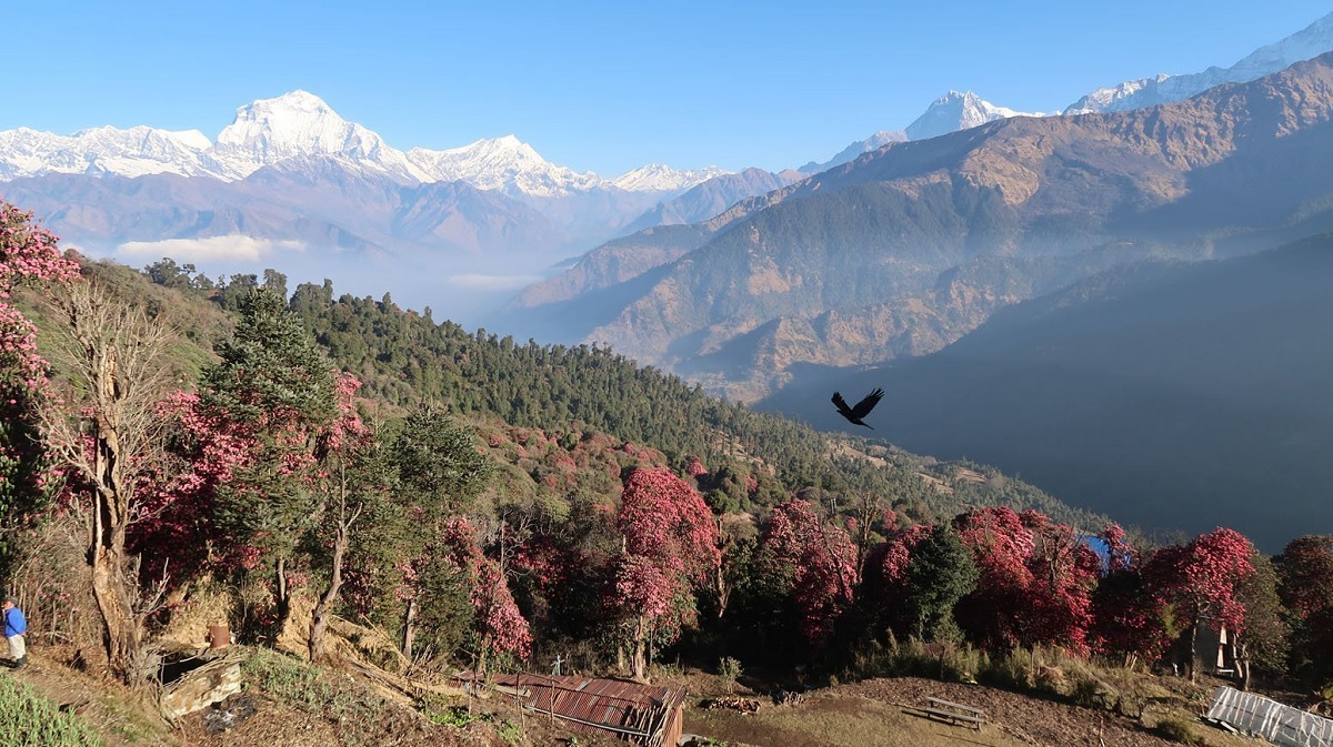 Connecting with Fellow Travelers and Locals