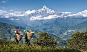 Nepal in February: A Complete Travel Guide to Weather, Top Destinations, and Activities