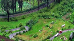 Best Things to Do in Ooty November 2025: Toy Train Ride Timings, Botanical Garden Entry Fees & Nilgiri Hills Weather Forecast