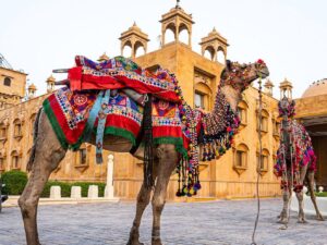 A Short History of Rajasthani Culture