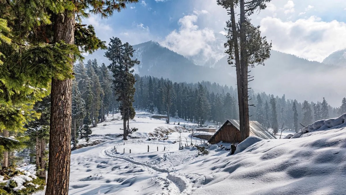 Peaceful Escape from Crowds