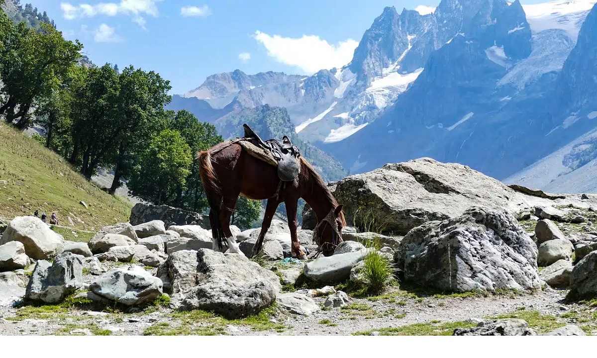 How to Prepare for the Cold