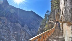 How to Travel to Harsil Valley from Delhi: A Complete Travel Guide