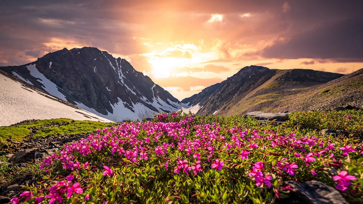 Valley of Flowers Trek, Uttarakhand