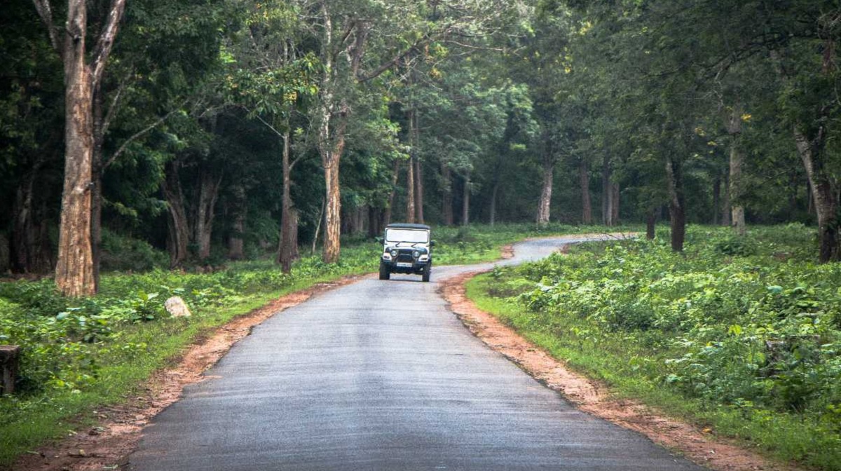 How to Reach Coorg from Bangalore, Mysore & Mangalore