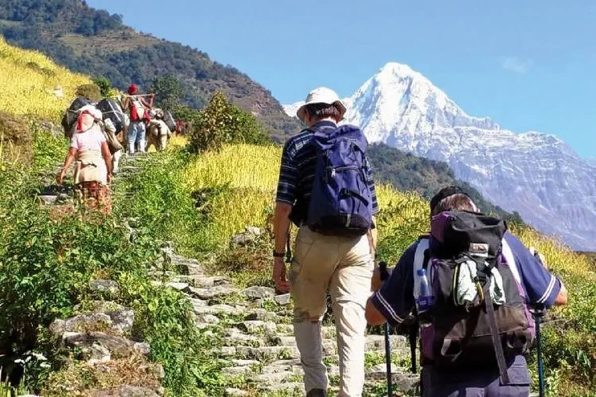 Things to Do in Sonmarg in February