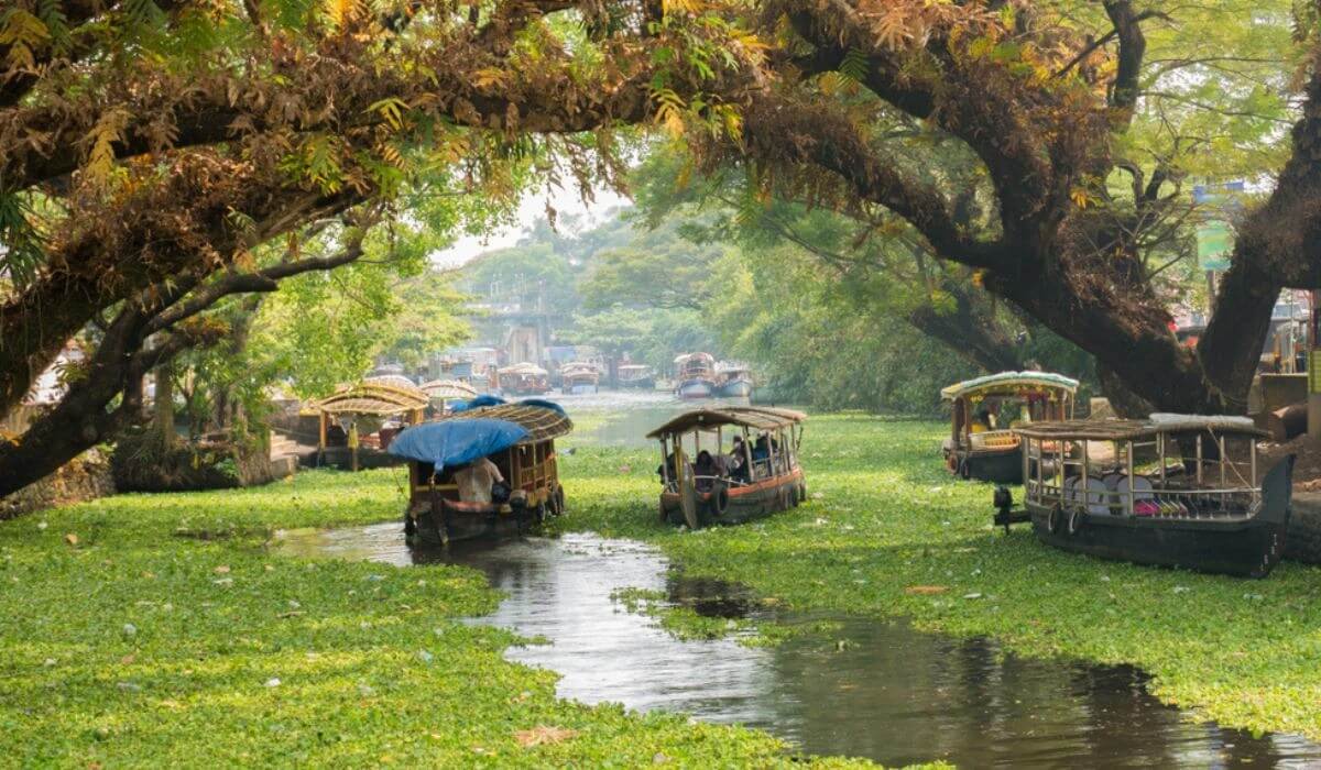 How to Reach Kerala in February