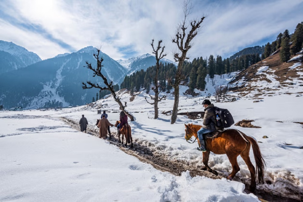 How to Reach Kashmir in November–December