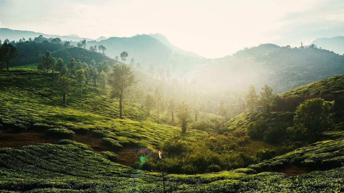 Travel tips for Kerala in March