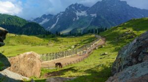 Places to Visit in North India in March 2025: Complete Travel Guide