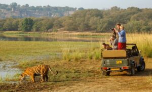 Ranthambore National Park: Monsoon Tiger Haven