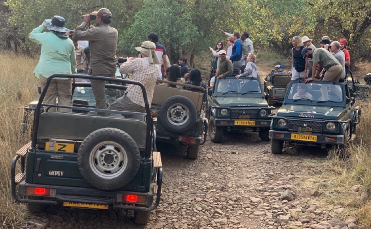 Types of Safaris in Ranthambore National Park