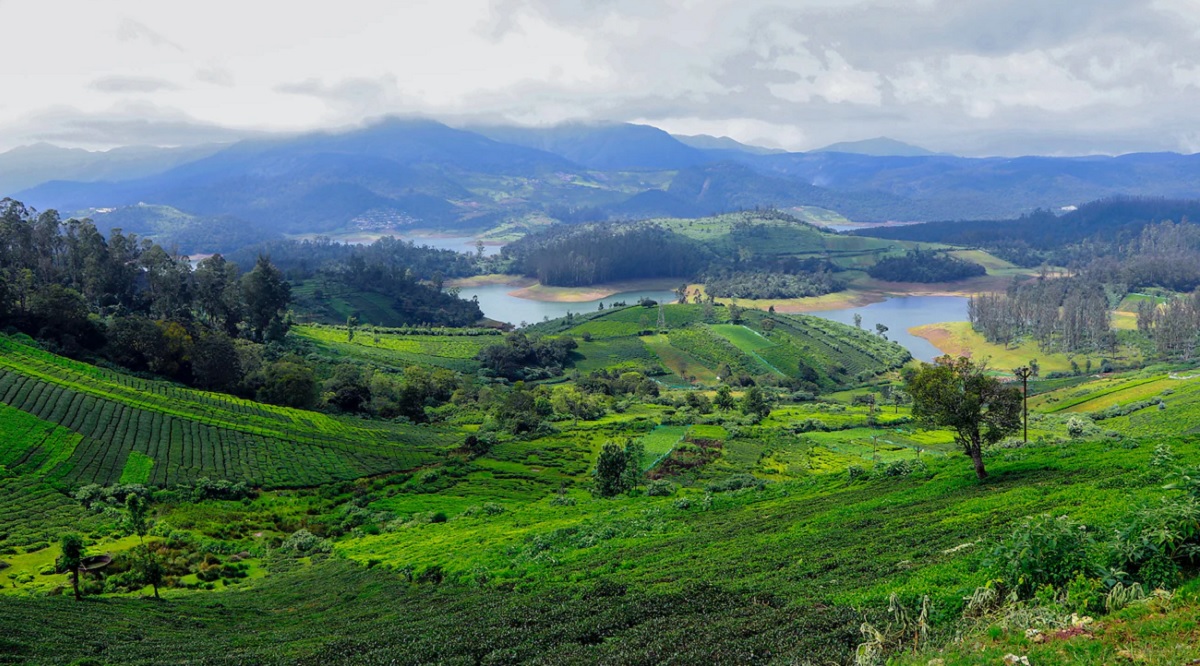 Things to Do in Ooty in October 2025