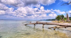 Andaman and Nicobar Weather in May: Attractions, How to Reach, and More