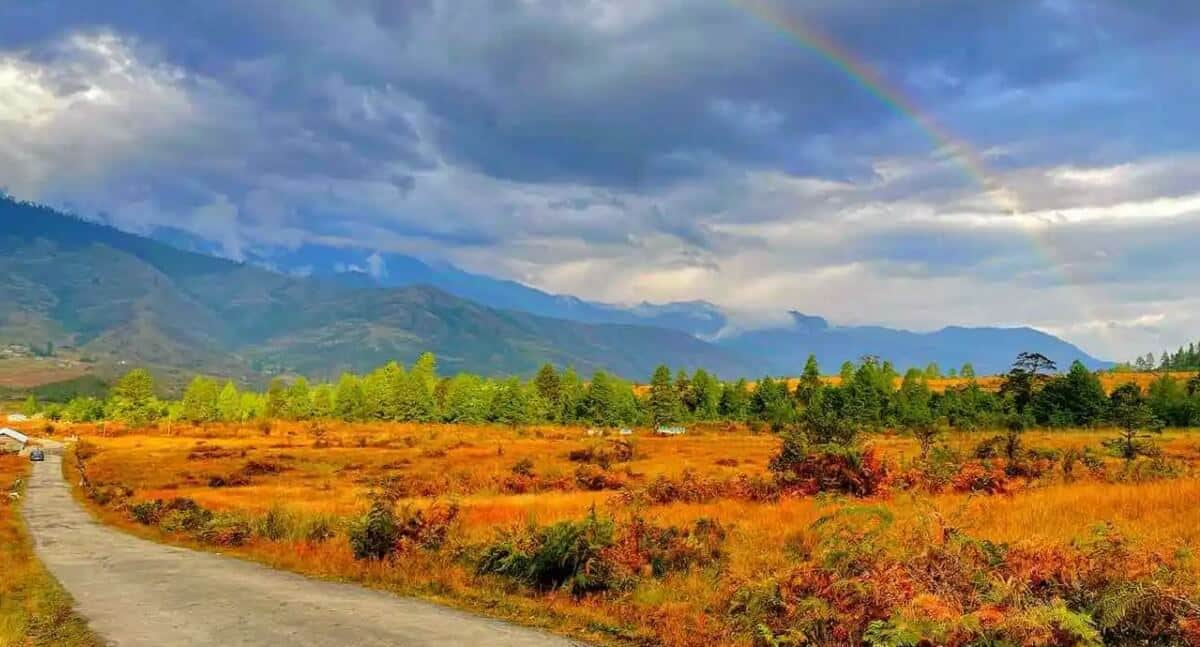 Mechuka – Offbeat & Ethereal