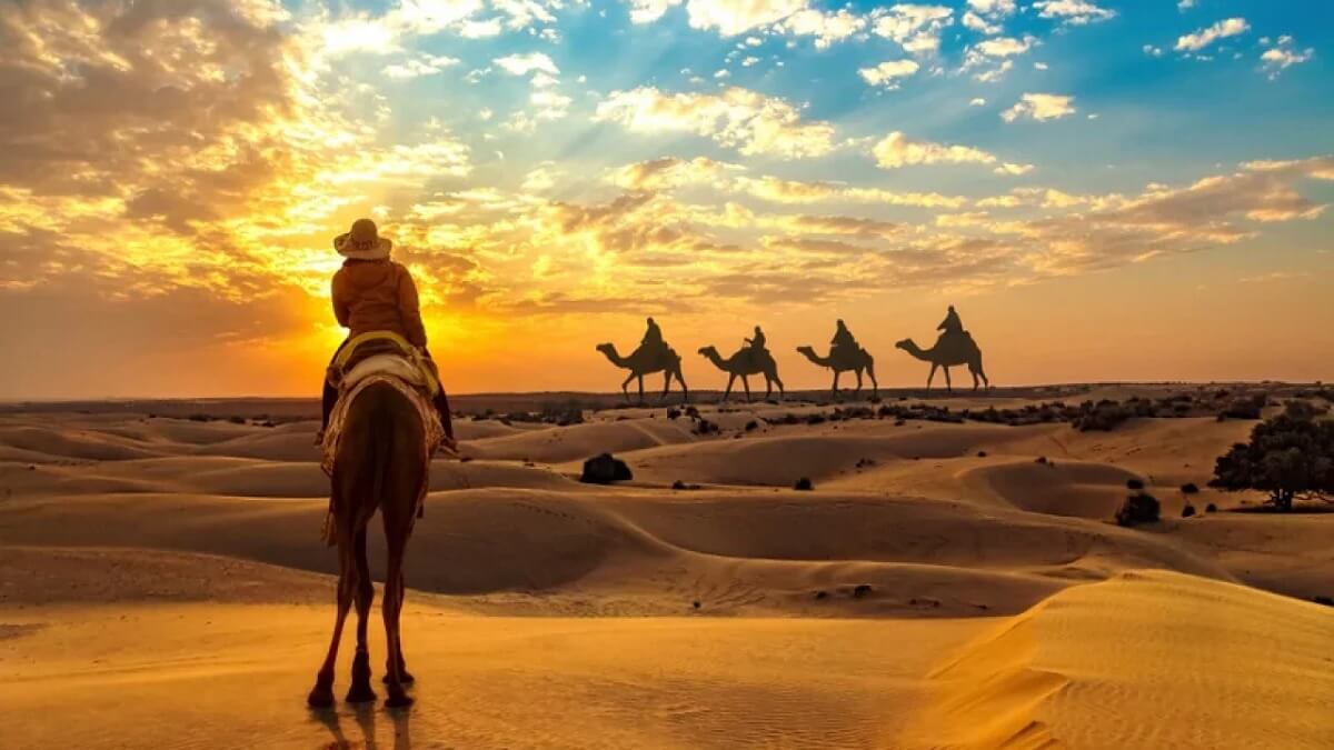 Desert Safari Experience: Which City Offers the Real Thar Adventure?