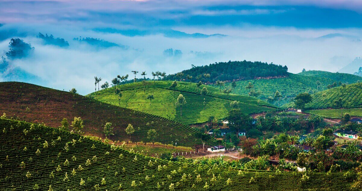 Important Travel Tips for Munnar in April
