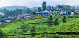 Munnar, Kerala – A Misty Mountain Retreat