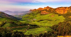 Suggested 3-Day Munnar Itinerary