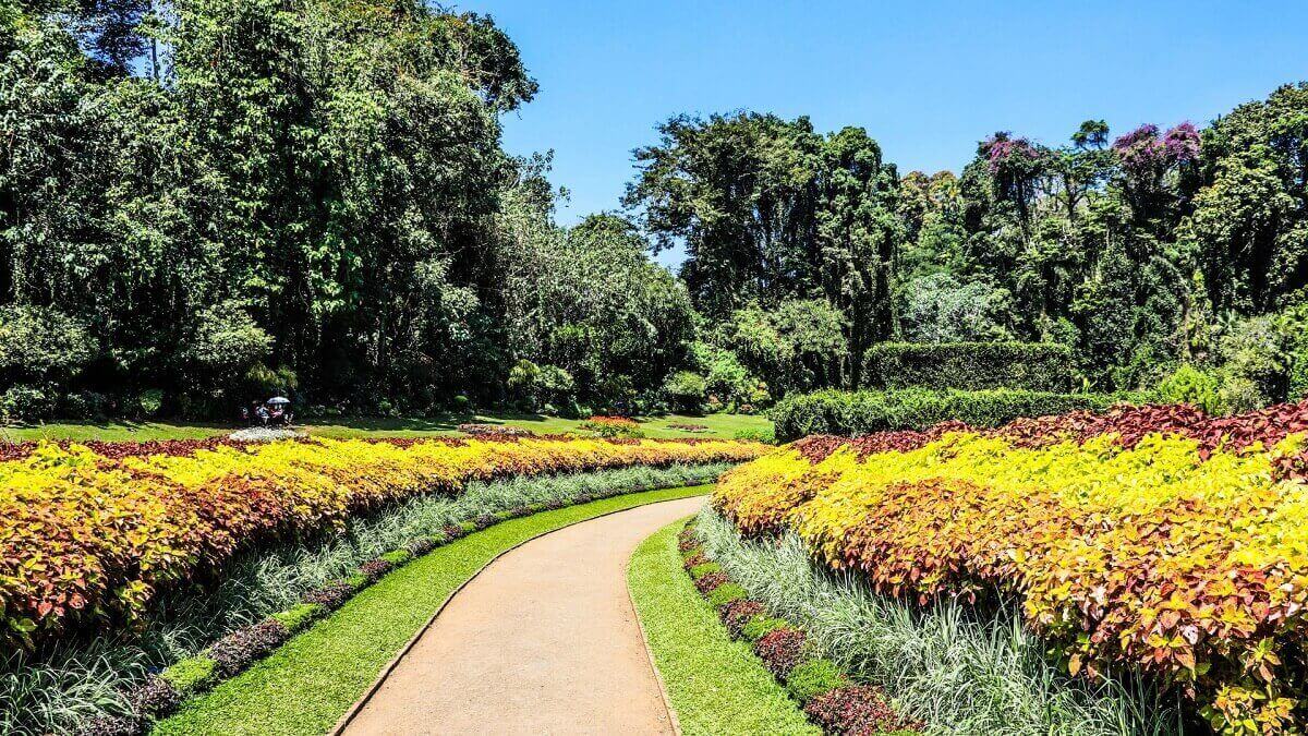 Visit Plantations & Spice Gardens