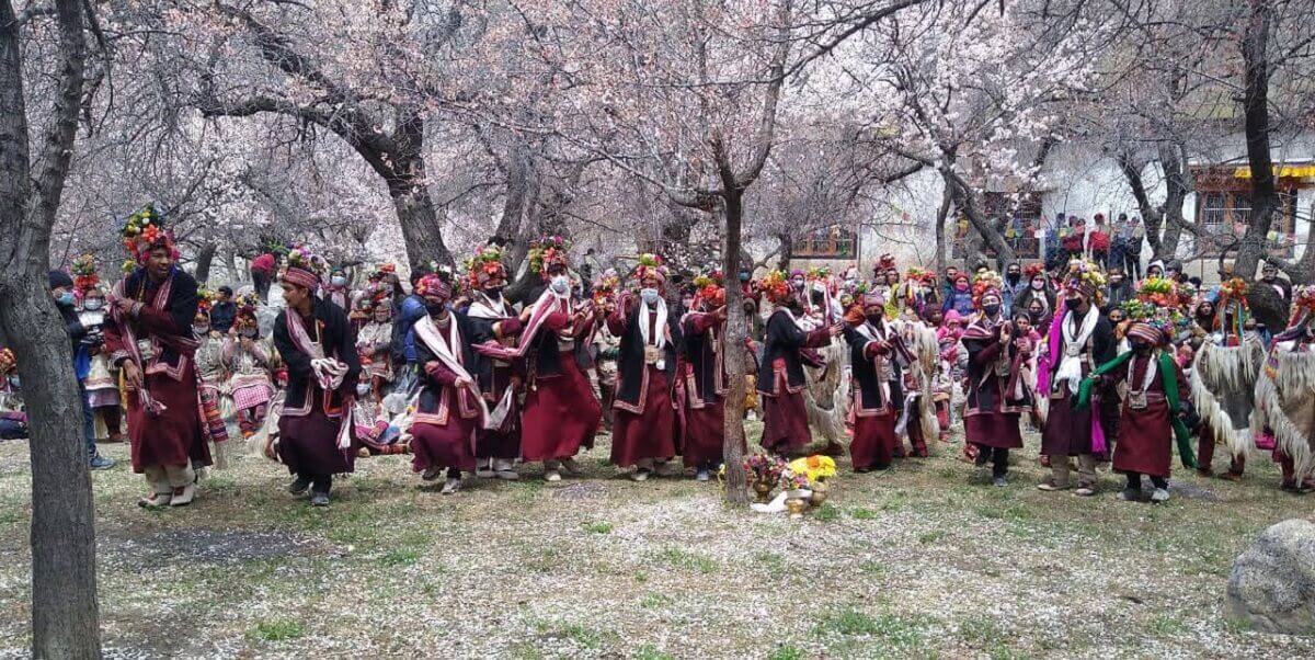 Highlights of the Apricot Blossom Festival 2025