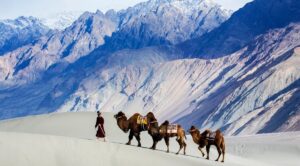Top Places to Visit in Ladakh in July