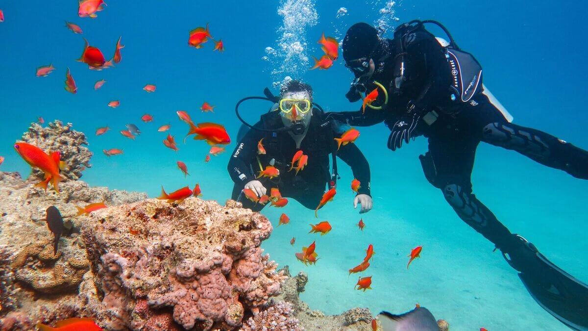 Tarkarli – Maharashtra’s Snorkeling & Scuba Paradise