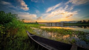 Assam in May: Best Places, Weather, Things to Do & Travel Tips