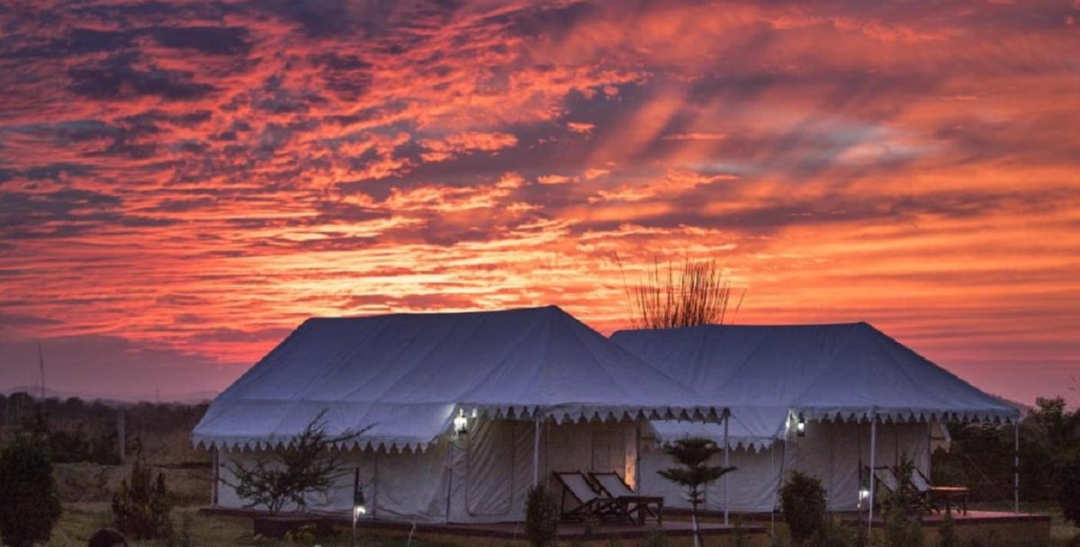 Camp Under the Stars at the Pushkar Camel Fair