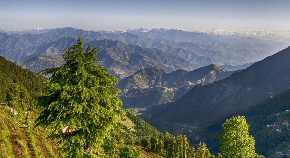 Essential Travel Tips for Visiting Ladakh in May