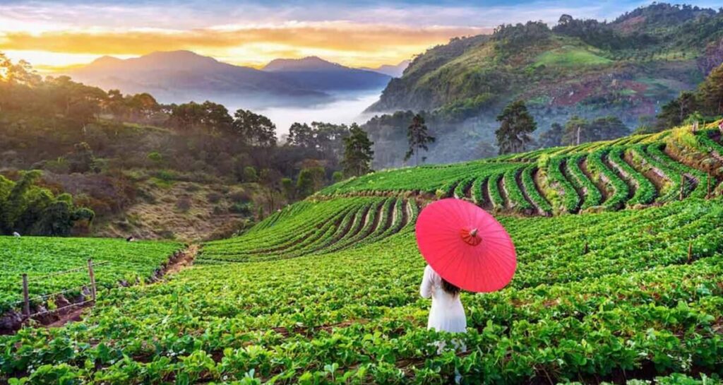 20 Best Places to Visit in South India in May