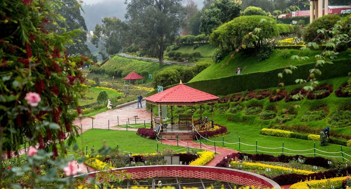 Ooty Botanical Gardens — Entry Fees, Hours & Highlights