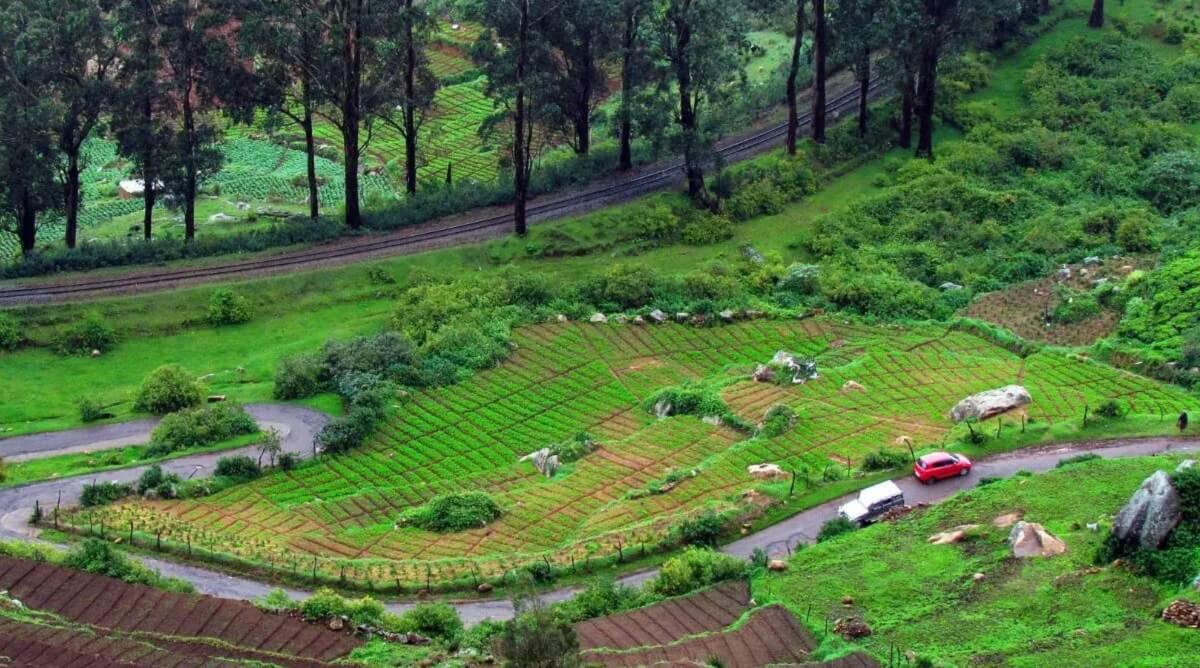 Why August is a Great Time to Explore South India