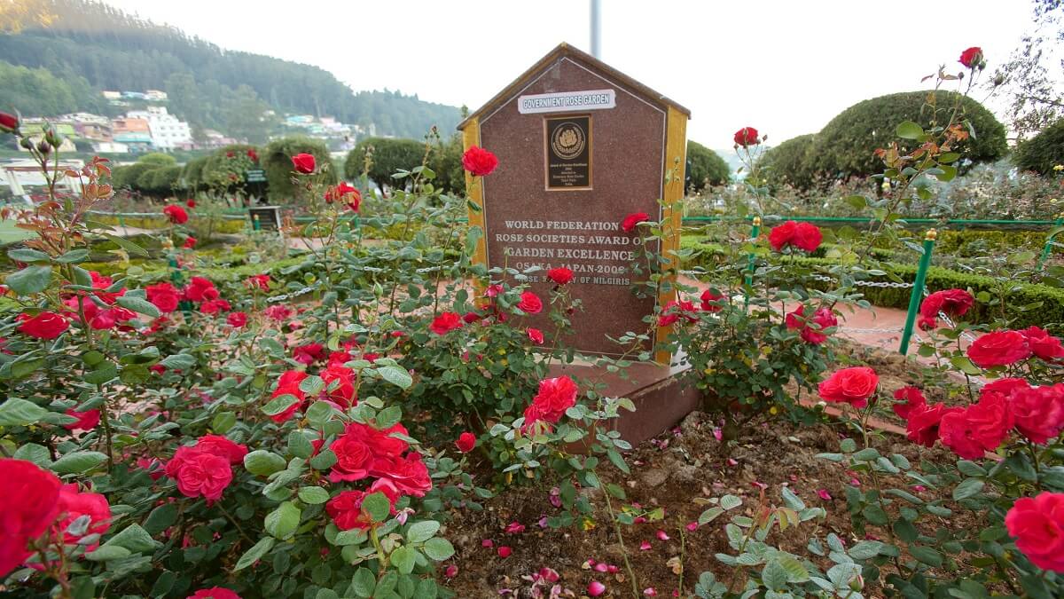 Ooty’s Colonial Charm – A Walk Through History