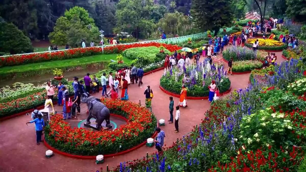 Wander Through the Botanical Gardens