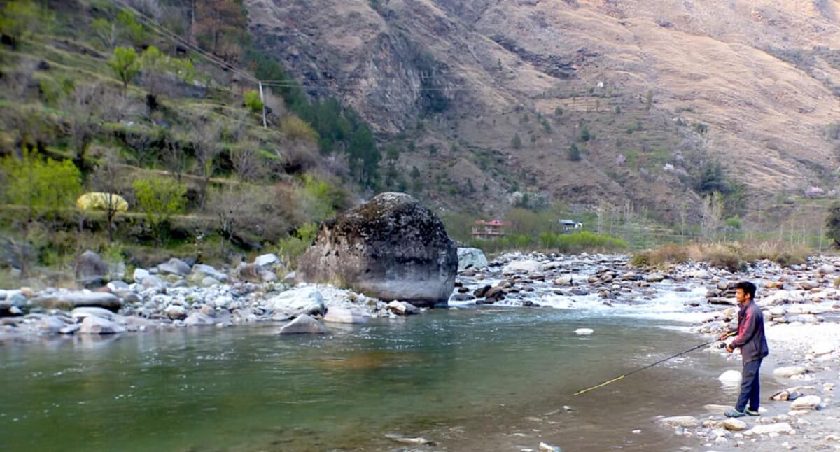 Go Trout Fishing in the Tirthan River