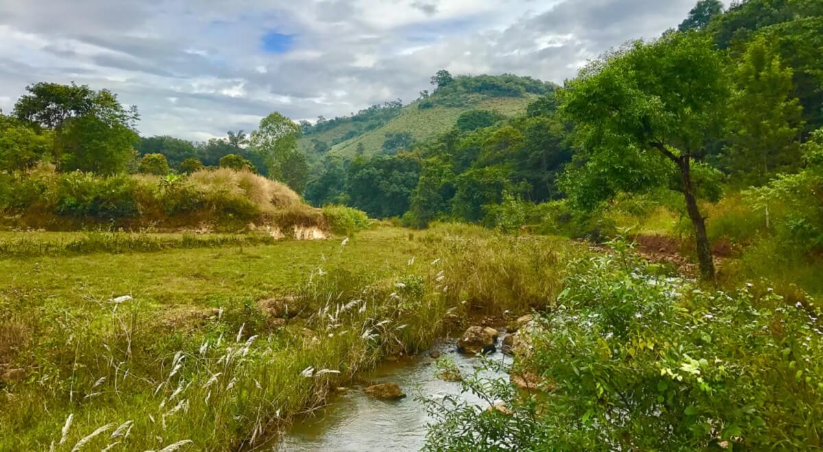 Lambasingi – Andhra’s Secret Hill Station