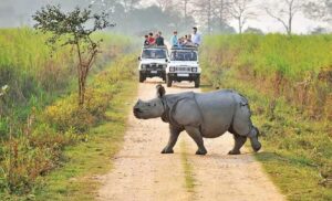 East & Northeast India – Rainforests and Rare Species