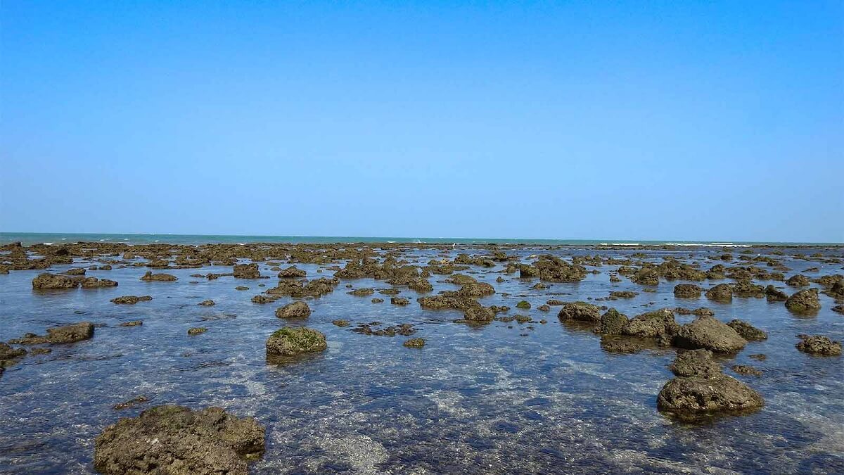 Narara Island – Gujarat’s Secret Marine World