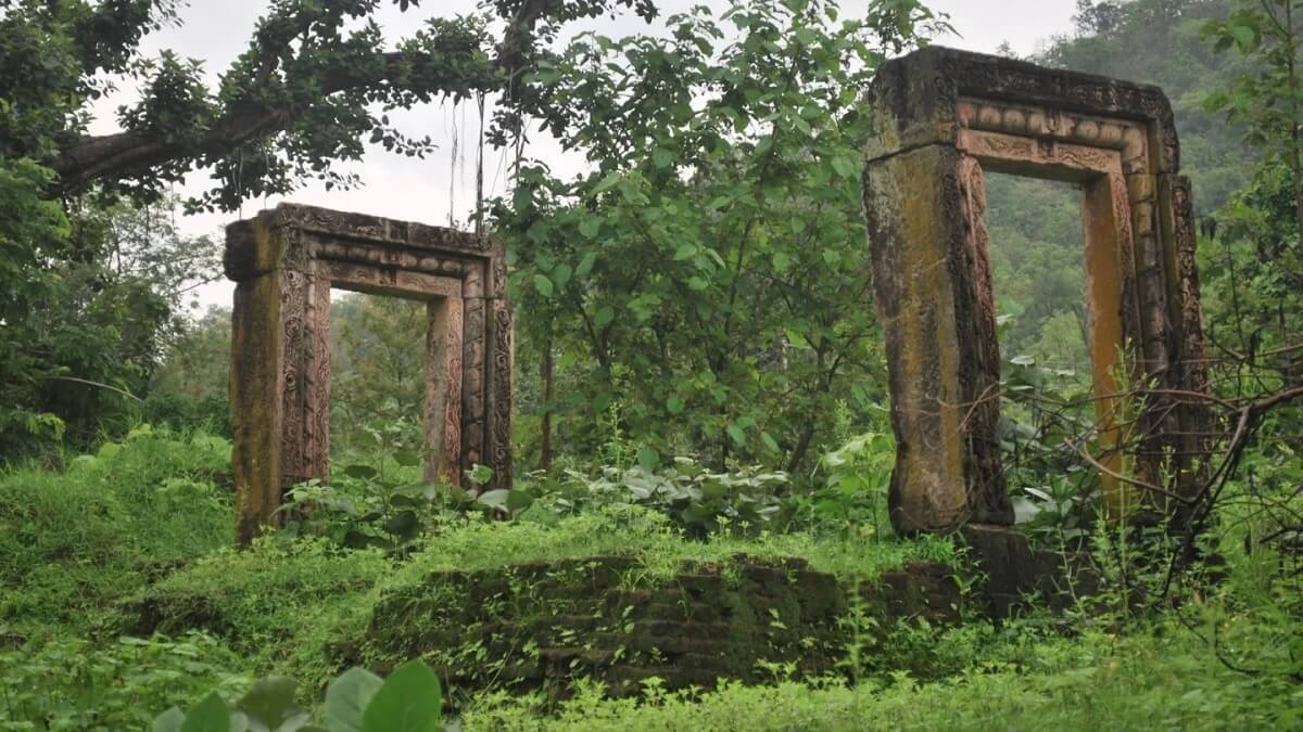 Polo Forest – Nature and Ruins in Perfect Harmony