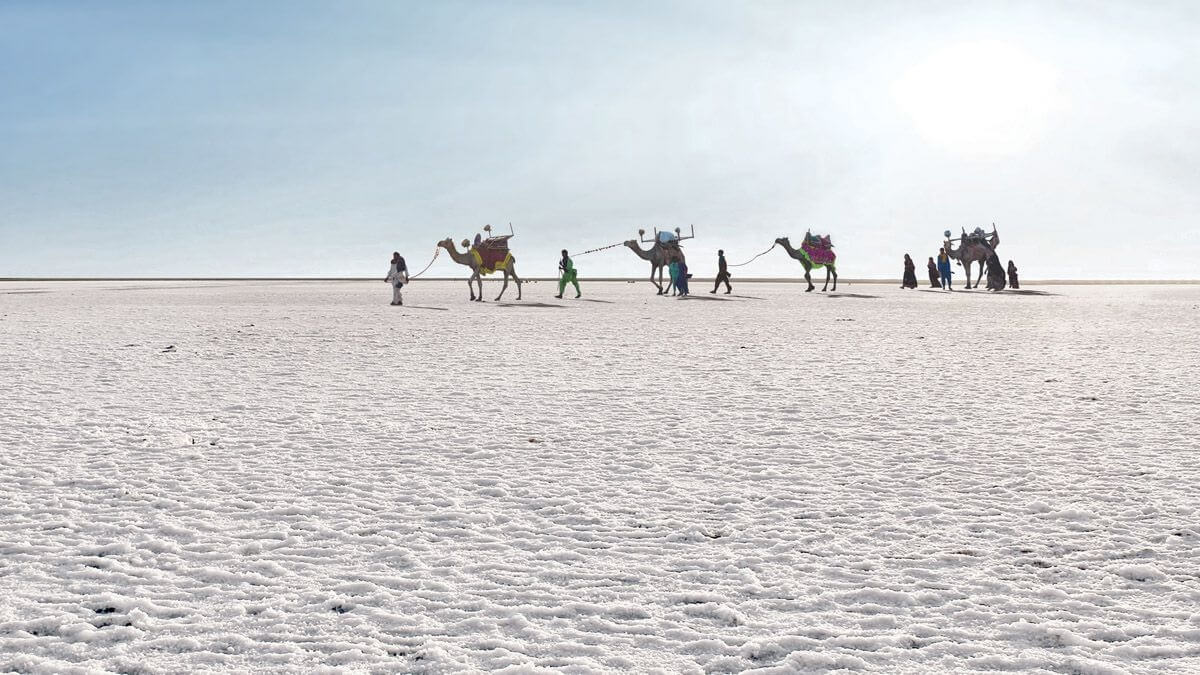 Little Rann of Kutch – Beyond the White Desert