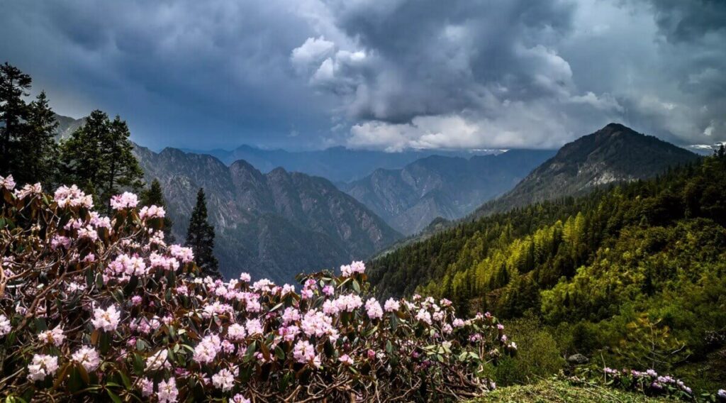 How to Reach Kasol from Delhi: A Complete Guide by Air, Train & Road