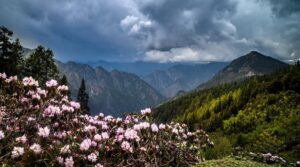 How to Reach Kasol from Delhi: A Complete Guide by Air, Train & Road