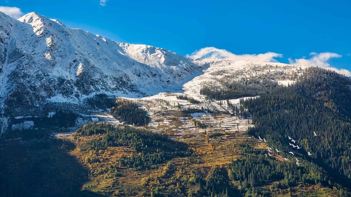 About Narkanda: Why It’s Worth the Journey