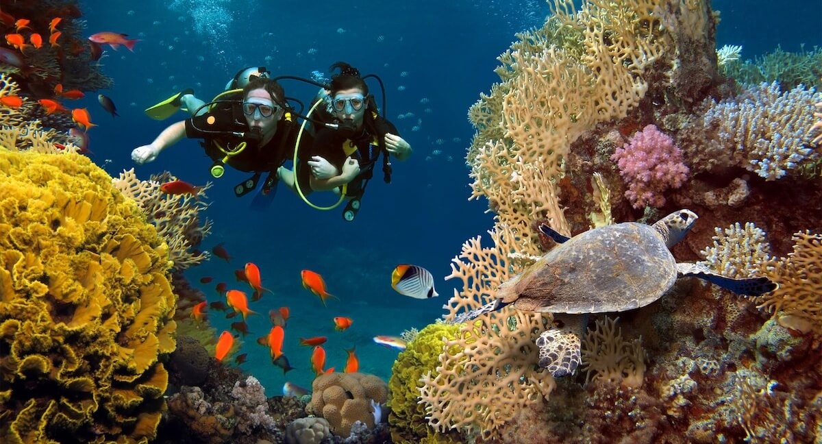 Scuba Diving in the Andaman & Nicobar Islands