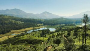 Best Hill Stations in India to Visit in May for a Cool Summer Escape