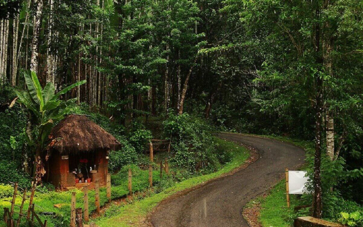 Agumbe – The Cherrapunji of the South