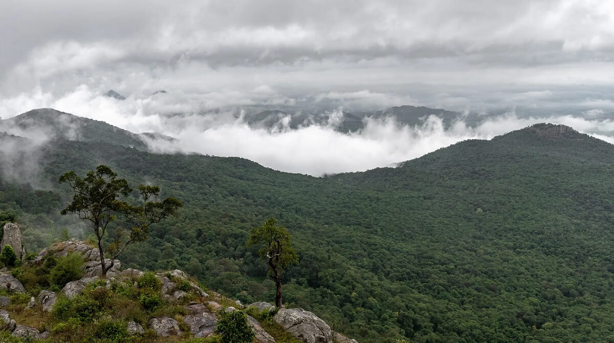 The Remote Highlands of Biligiriranga Hills (Karnataka-Tamil Nadu Border)