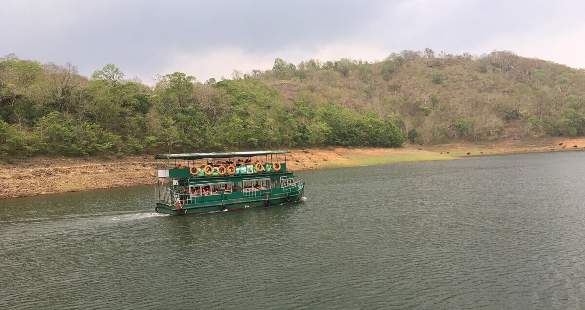 Afternoon Safaris in Periyar Tiger Reserve