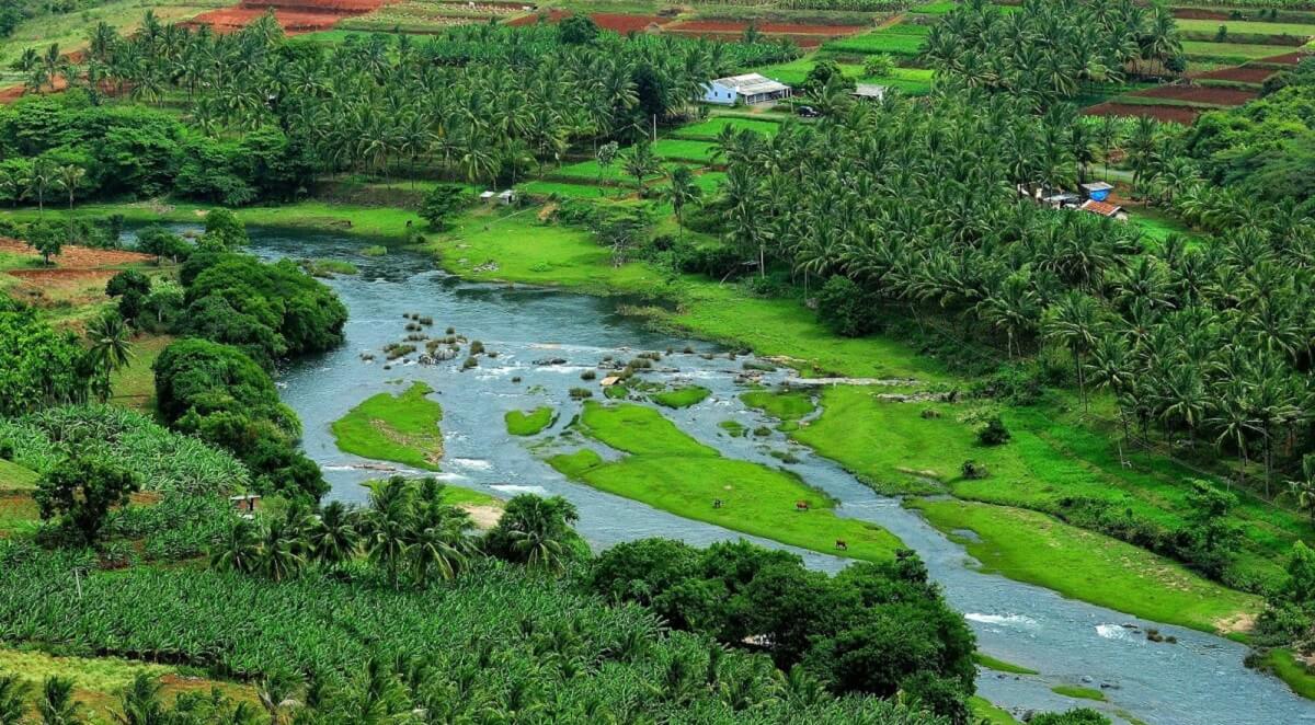 The Silent Valleys and Tribal Trails of Attappady (Kerala)